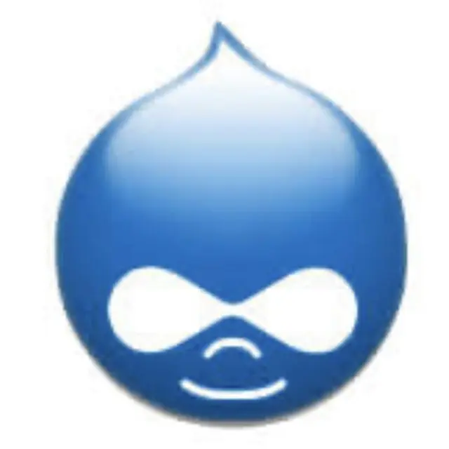 Drupal icon on nails for represent her compagnie during an event in Australia ^^.