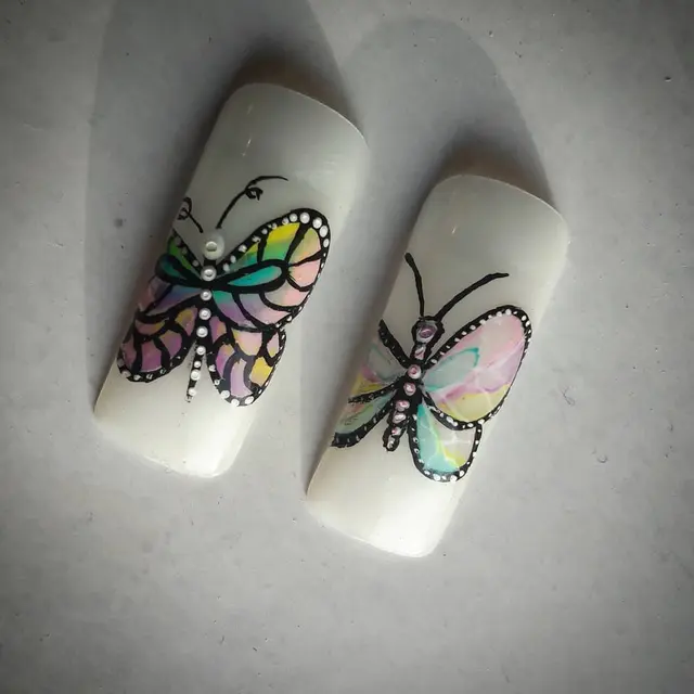 Butterfly Training of the day I hope the 1st it gonna be perfect for